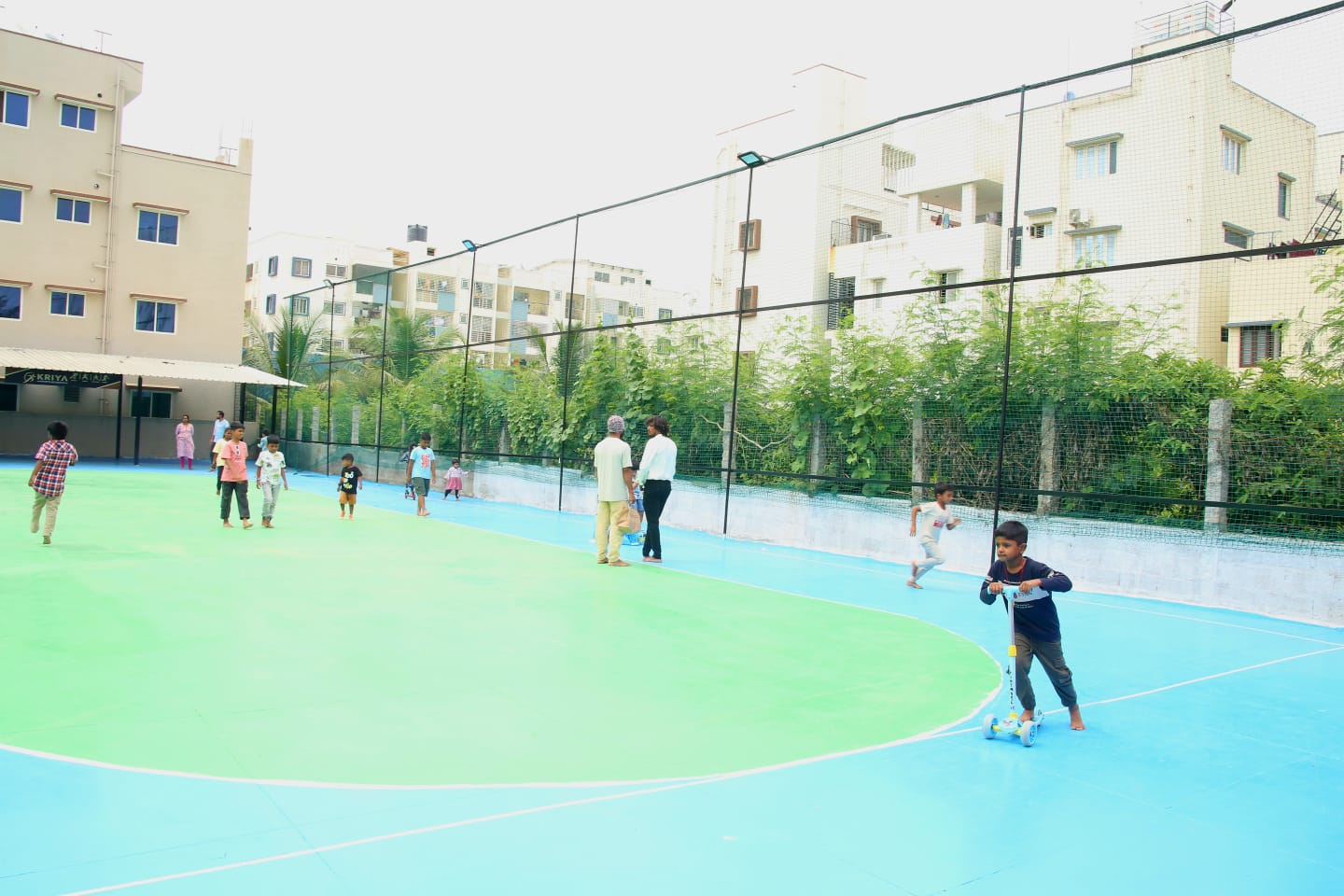 Playtime on the Court